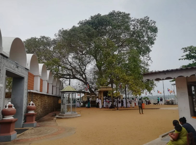 Kalutara Bodhiya, Sri Lanka